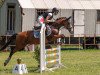 jumper Bella 1297 (German Riding Pony, 2010, from Classic Dancer III)