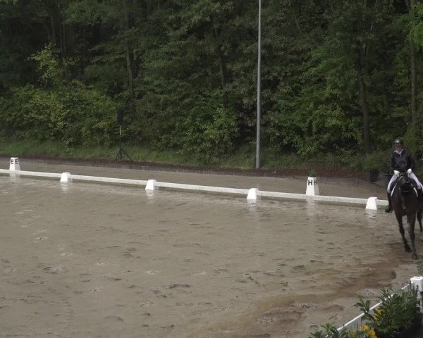 Reitturnier Köln-Flittard (Scheuerhof) 2023
