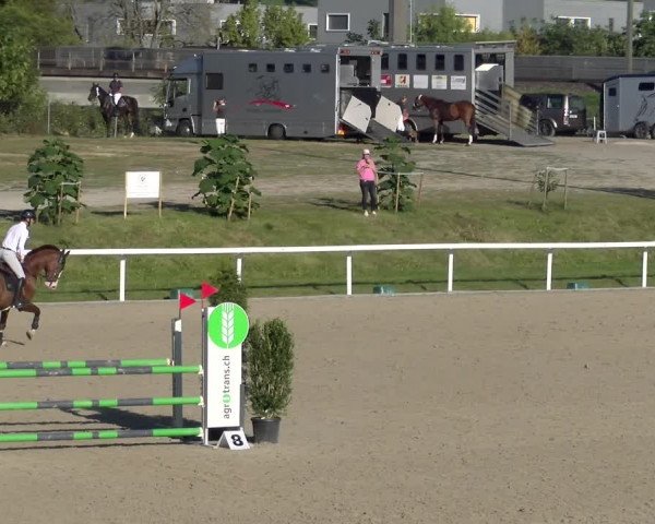Reitturnier Bülach 2023