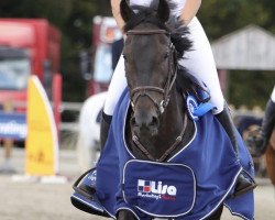 jumper Charly Blue 8 (Oldenburg show jumper, 2014, from Cantolar)