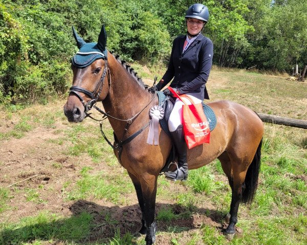 jumper Tres Chic de Muze (Belgian Warmblood, 2019, from Eames de Hus)