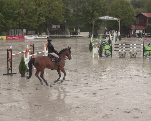 Reitturnier Richelsdorf 2023