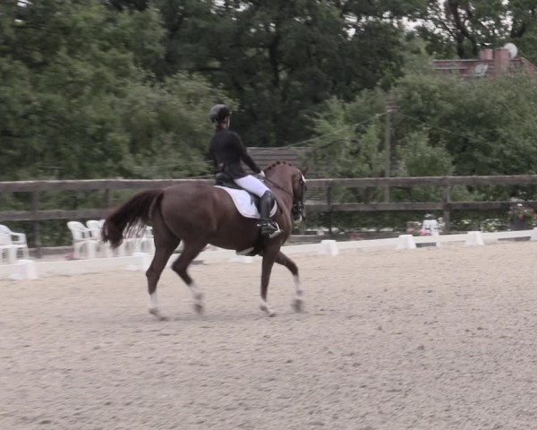 Reitturnier Müncheberg 2023