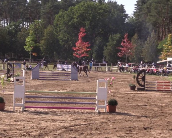 Reitturnier Baitz 2021