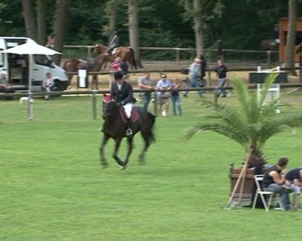 jumper Urane des Salines (Selle Français, 2008, from Diamant de Semilly)