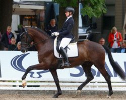 dressage horse So Special 11 (Hanoverian, 2018, from Secret)