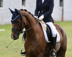 dressage horse Neele MW (German Riding Pony, 2019, from Deep Red M)