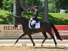 dressage horse Sammy La Mia Speranza (Hanoverian, 2014, from San Amour I)