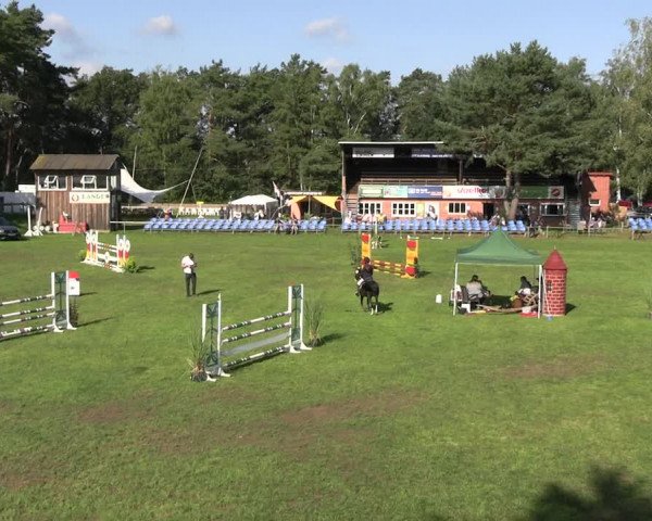 Reitturnier Dannenberg 2023