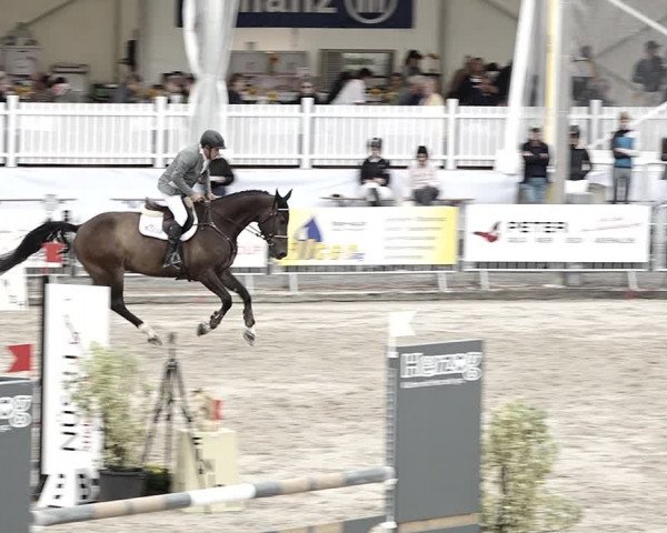 Reitturnier Humlikon 2023