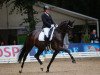 dressage horse For Joy (Westphalian, 2018, from For Dance)