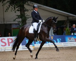 dressage horse For Joy (Westphalian, 2018, from For Dance)