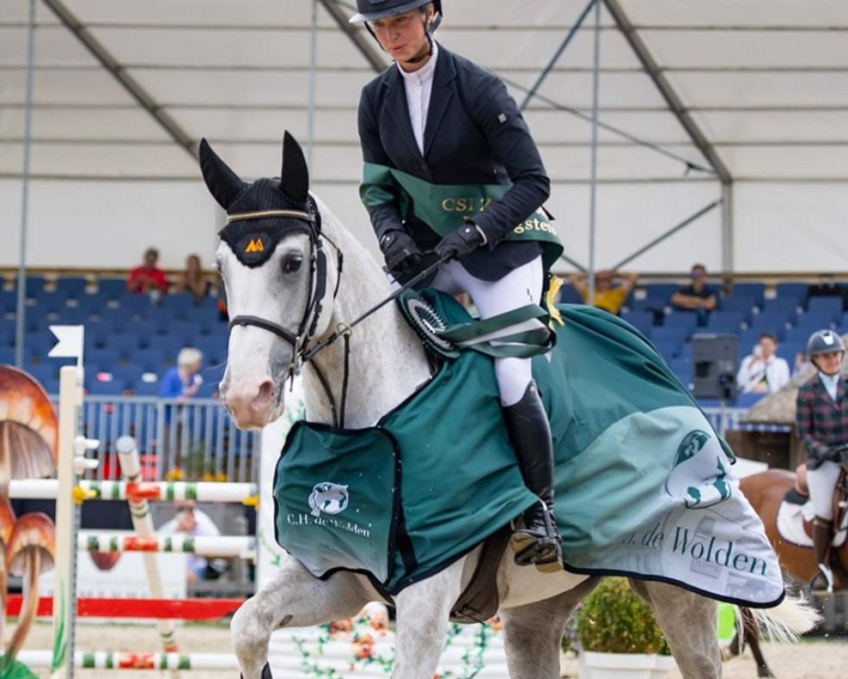 jumper Morella Vg (KWPN (Royal Dutch Sporthorse), 2017, from Zirocco Blue)