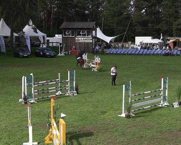 Reitturnier Dannenberg 2023
