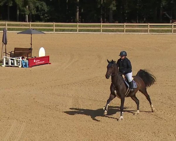 Reitturnier Tiefenhof 2023