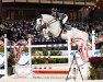 jumper Gerko (KWPN (Royal Dutch Sporthorse), 2011, from Zirocco Blue)