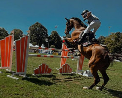 jumper Origi van de Rankhoeve (Belgian Warmblood, 2014, from Thunder van de Zuuthoeve)