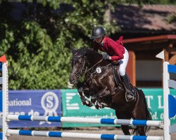 jumper La Nigra Beleco (German Riding Pony, 2017, from Nadir vom Splitting WE)