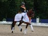 dressage horse Happy Days Di Fonteabeti (Hanoverian, 2018, from Valverde NRW)