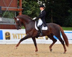 dressage horse Fürst Nymphenburg (Hannoveraner, 2005, from Florencio I)