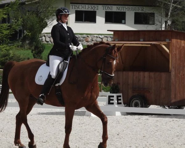 Reitturnier St. Ulrich am Pillersee 2023