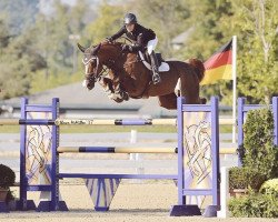 jumper Bijzonder (KWPN (Royal Dutch Sporthorse), 2006, from Acodetto I)