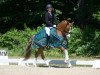 dressage horse Terbofens Quantus (German Riding Pony, 2013, from Quaterback's Junior)