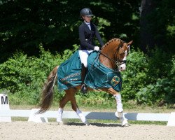 dressage horse Terbofens Quantus (German Riding Pony, 2013, from Quaterback's Junior)