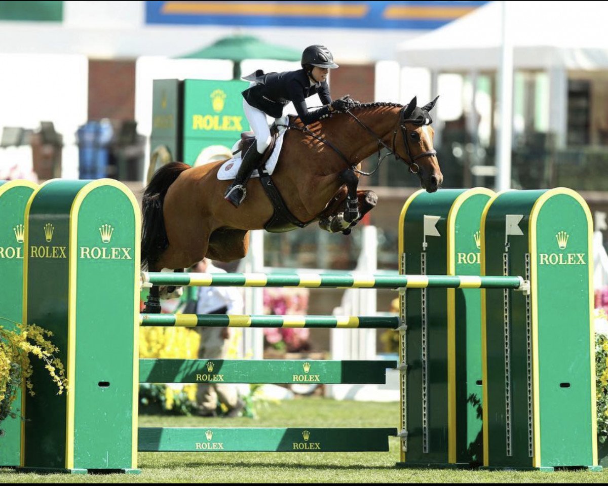 jumper Emorkus Re (KWPN (Royal Dutch Sporthorse), 2009, from Quasimodo vd Molendreef)