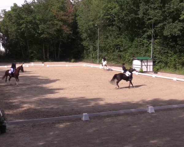 Reitturnier Köln-Flittard (Scheuerhof) 2023