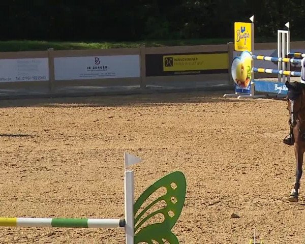 Reitturnier Tiefenhof 2023