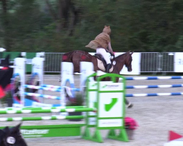 Reitturnier Sörup 2023