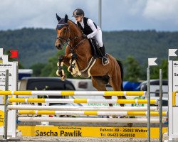 jumper Filia My Princess (German Sport Horse, 2016, from Feuerball 78)