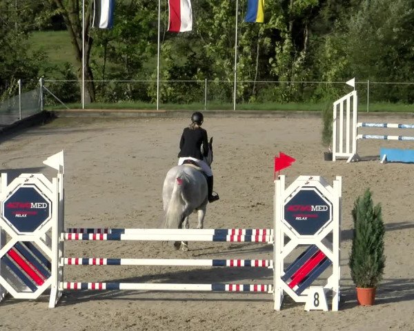 Reitturnier Maienfeld 2023