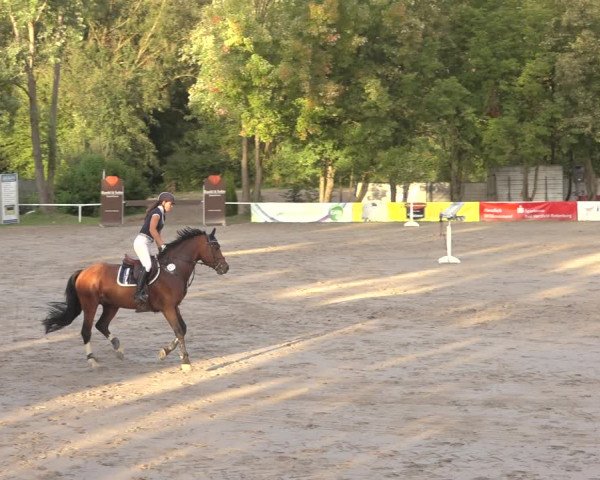 Reitturnier Richelsdorf 2023