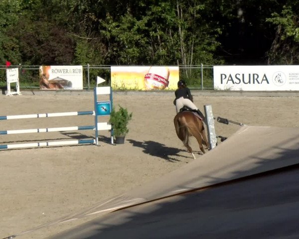 Reitturnier Maienfeld 2023