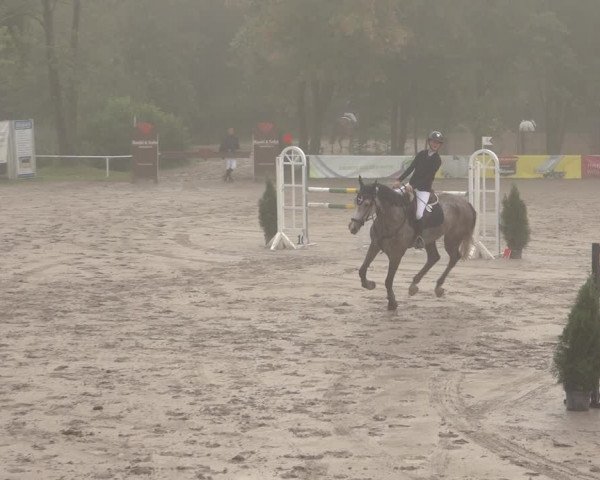 Reitturnier Richelsdorf 2023