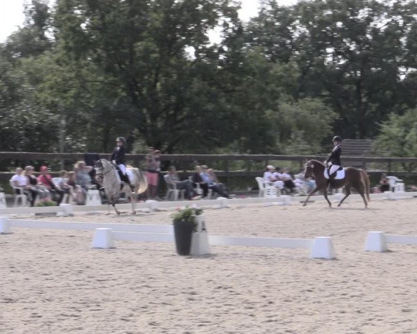 Reitturnier Müncheberg 2023