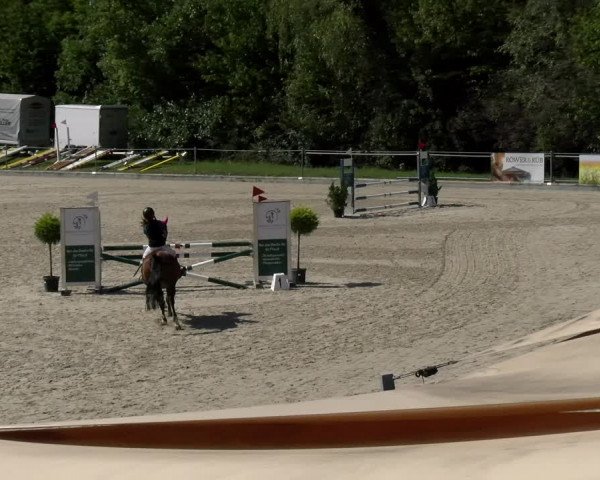 Reitturnier Maienfeld 2023