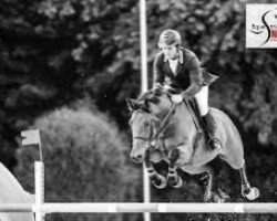 stallion Ualoubet de Ligny (Selle Français, 2008, from Baloubet du Rouet)