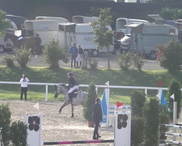 Reitturnier Bülach 2023