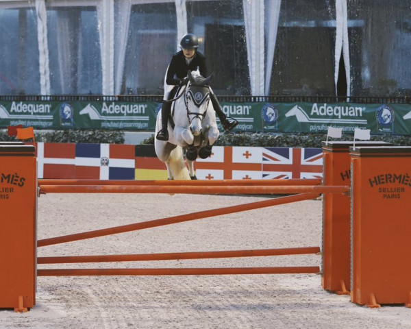 jumper Blue Sky van de Olmenhoeve (Belgian Warmblood, 2001, from Mr Blue)