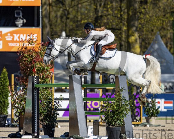 jumper Calindra 2 (Westphalian, 2013, from Cornet Obolensky)