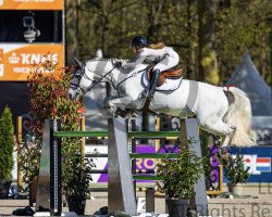 Springpferd Calindra 2 (Westfale, 2013, von Cornet Obolensky)