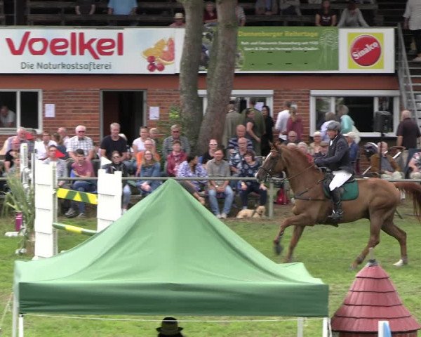 Reitturnier Dannenberg 2023