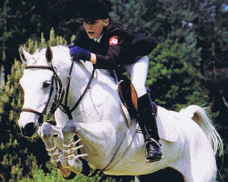 Zuchtstute White Lady (Deutsches Reitpony, 1983, von Mentos)