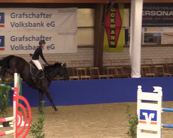 Euregio Springturnier Isterberg 2021