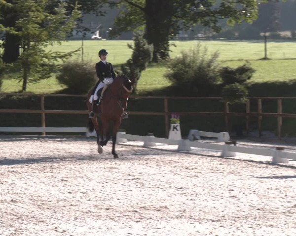 Reitturnier St. Ulrich am Pillersee 2023