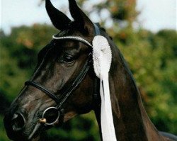 broodmare Minelli (Danish Warmblood, 2005, from Stedinger)