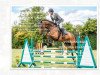 jumper Con Balou D (Oldenburg show jumper, 2016, from DSP Con Spirit)